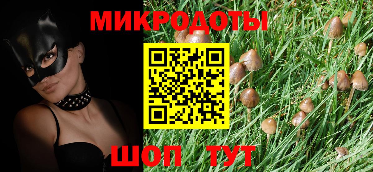 Псилоцибиновые грибы GOLDEN TEACHER  Вход с VPN  Алатырь 